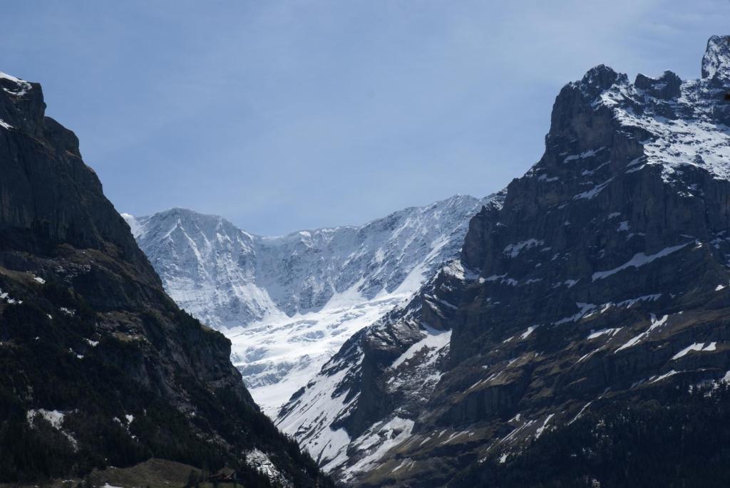2-Star Griwarent Apartments Grindelwald Rum bild