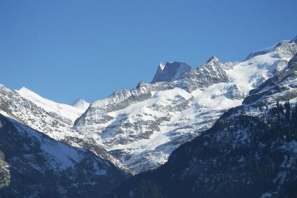 2-Star Griwarent Apartments Grindelwald Rum bild